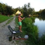 2016_WD_Roland_01_10